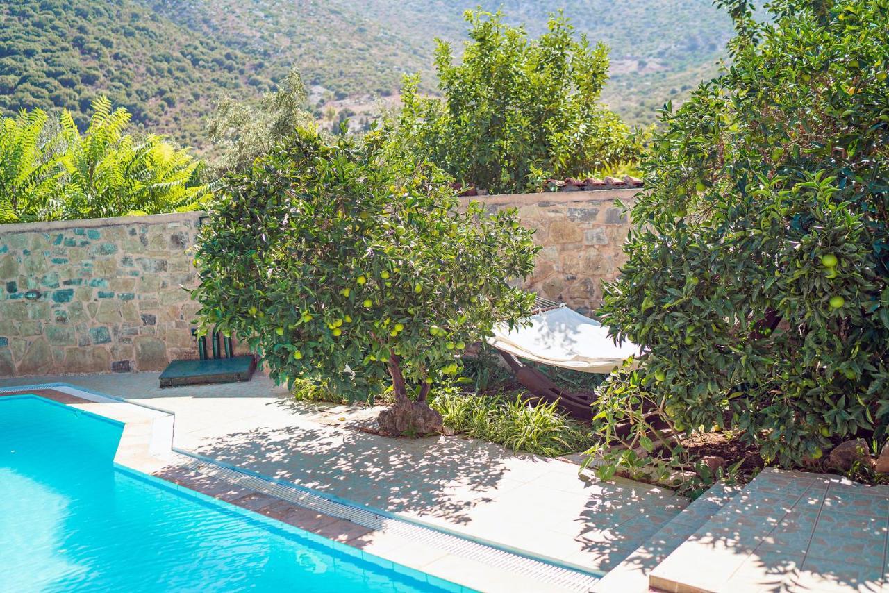 Villa Aleva Bali  Екстер'єр фото